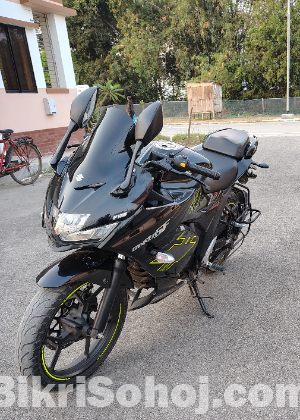 Suzuki Gixer SF Fi Abs 2024